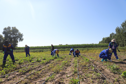 3044am����(�й�)���Źٷ���վ